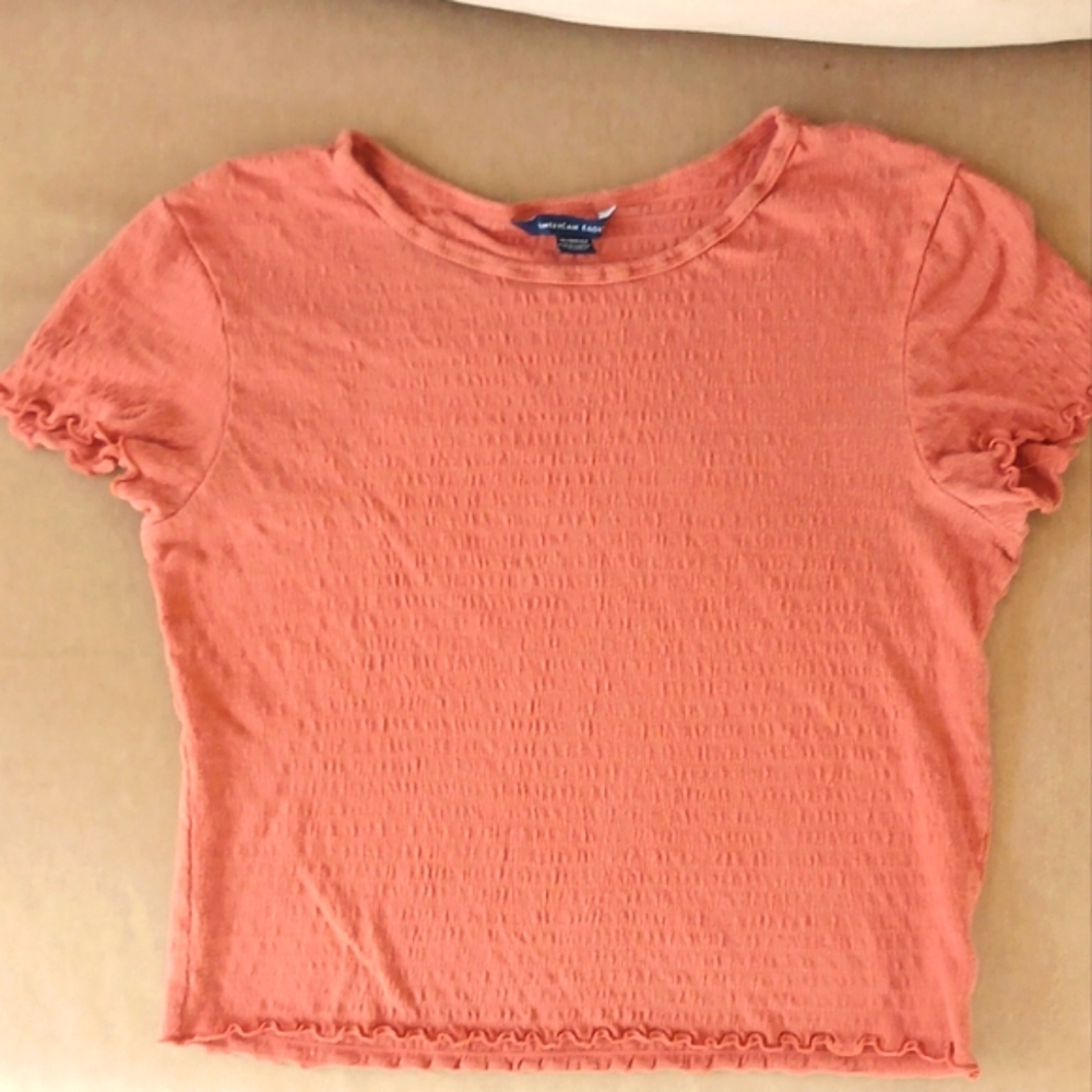American Eagle Crop Top